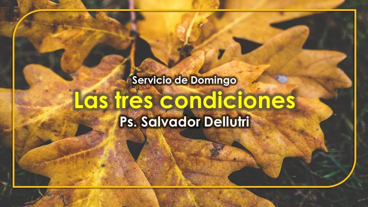 Sansón 1 - Las tres condiciones