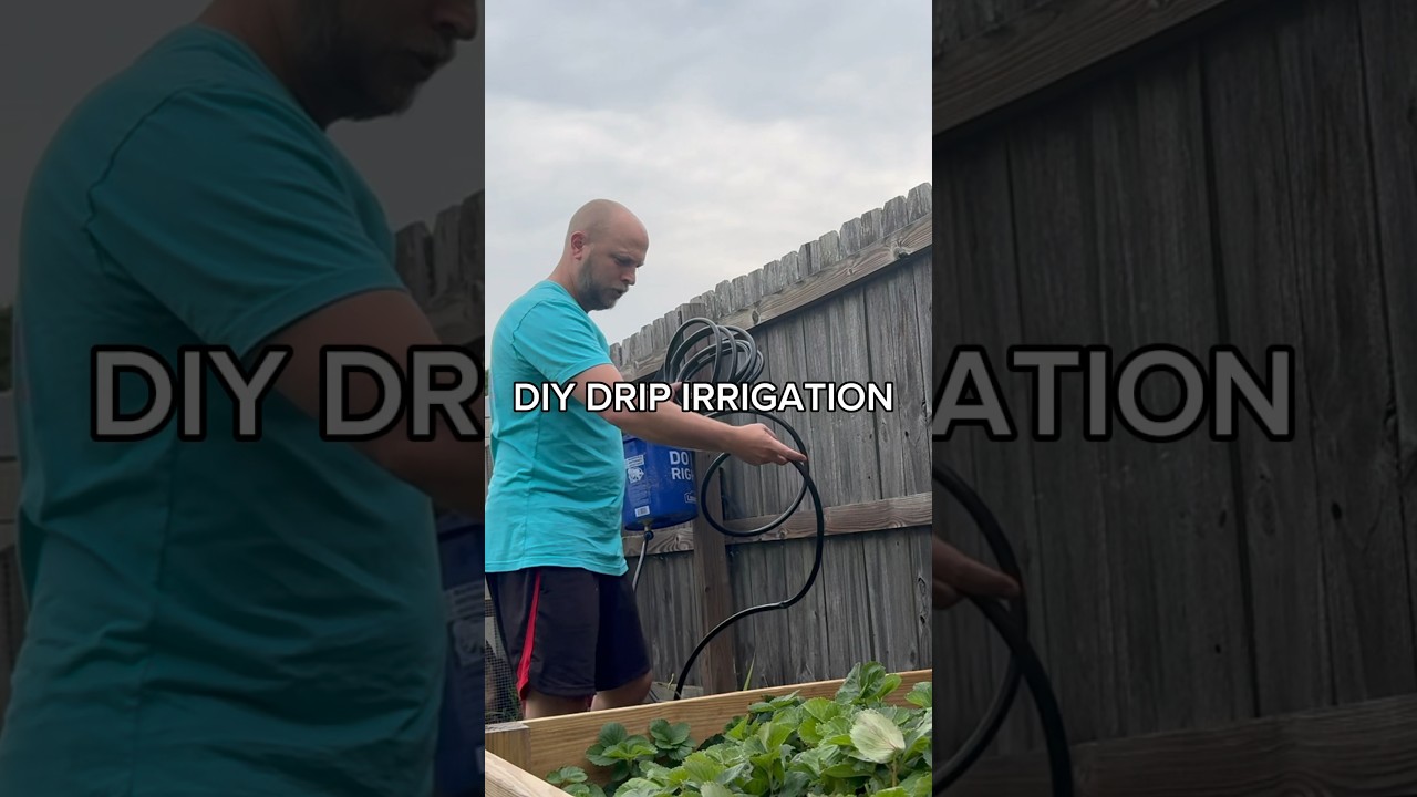 DIY - Drip Irrigation System #diy #garden #water