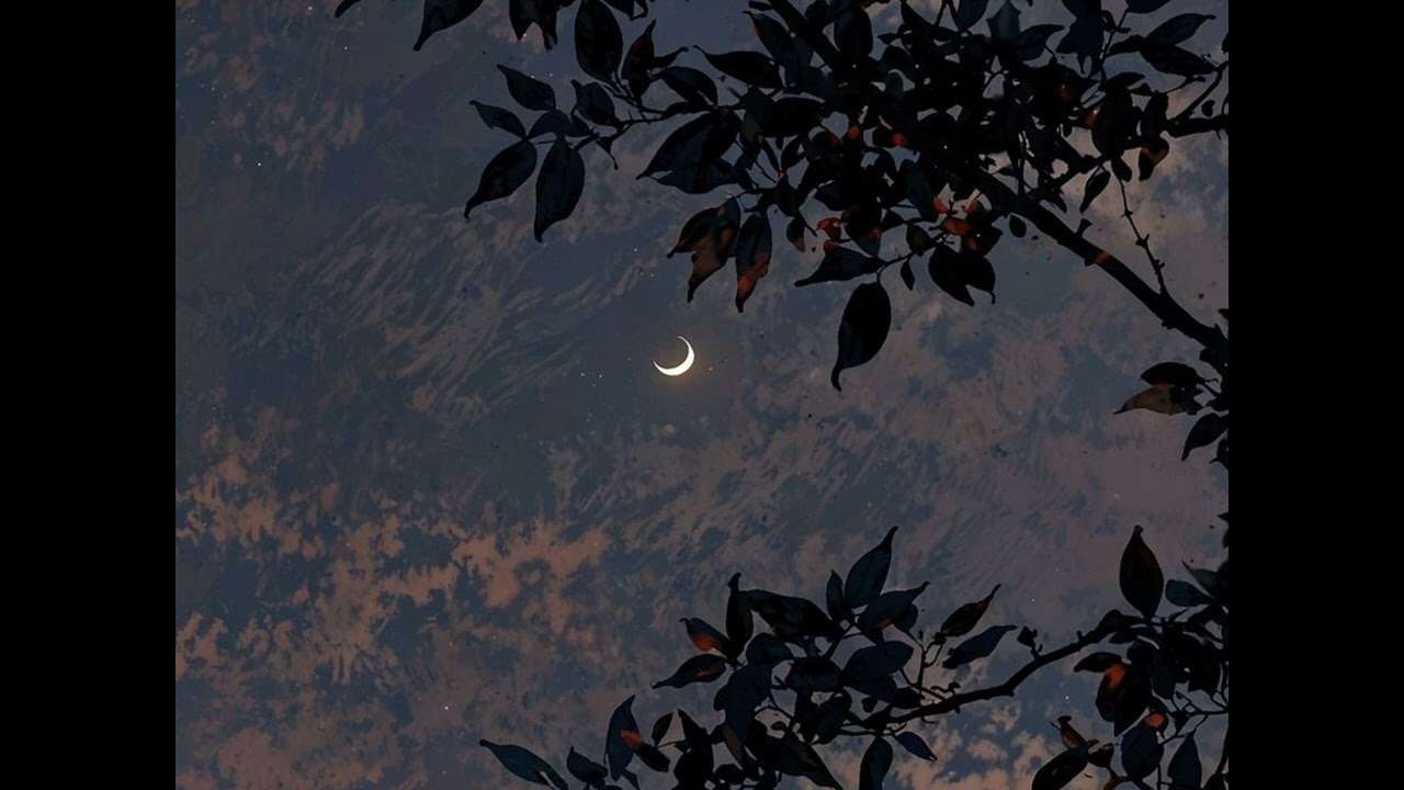 سورتي المدثر والبروج بصوت القارئ عمران بوريب[ صلاة الفجر مسجد عمر بن الخطاب حي أيوف ].