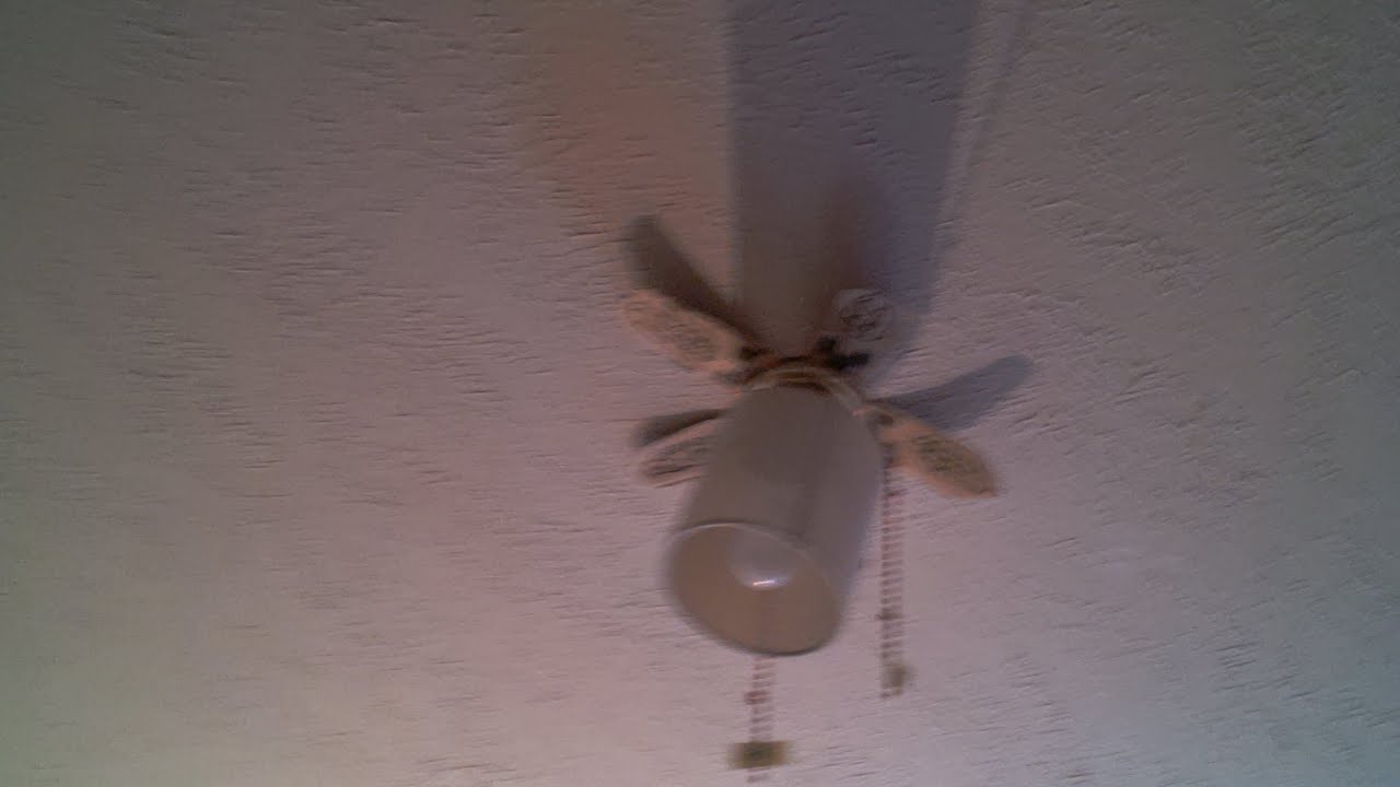 My ceiling fan collection
