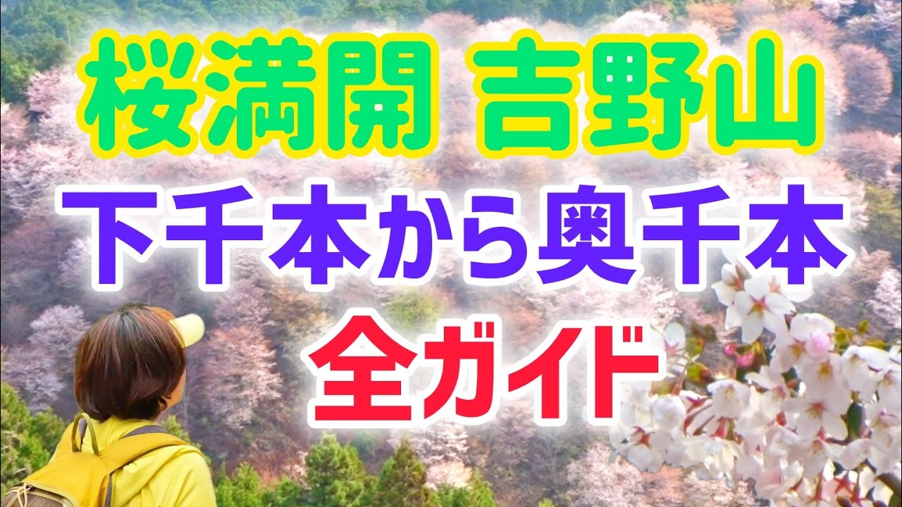 吉野山 桜満開！絶景の千本桜 全ガイド