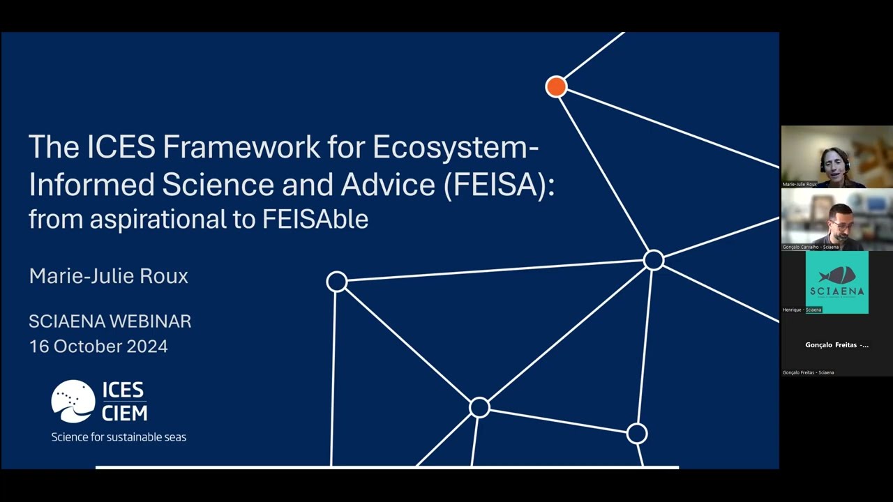 Webinar 1 - 