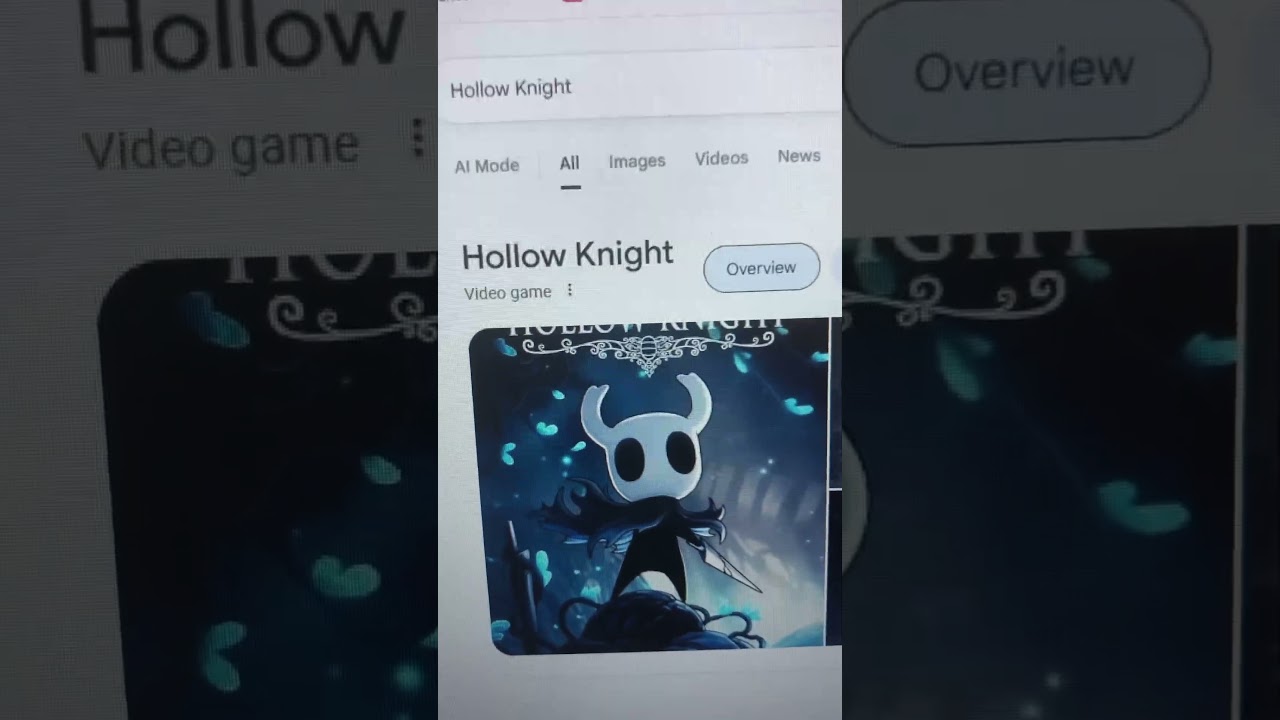 Thank You & Farewell Hollow Knight!