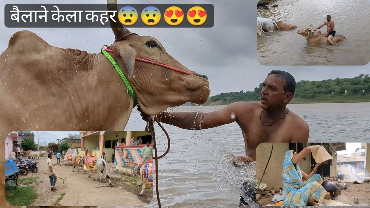 गावाकडचा सण बैलपोळा🎉//बैलाने घातला थैमान😨//खानदेश मधील बैल पोळा //Bull Festival//Village life vlog❤️