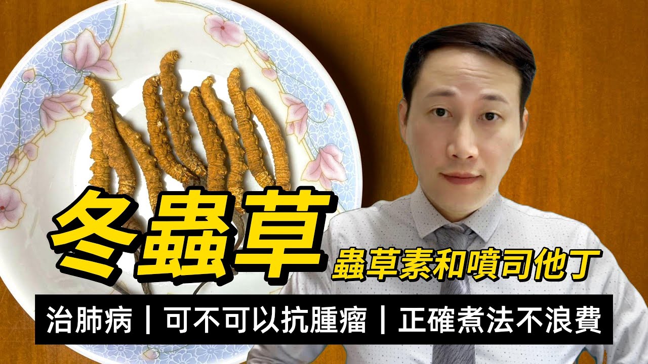 冬蟲夏草，功效和注意，壯陽補肺化痰，是否具有抗腫瘤效應？便宜的頂替品效果更強？如何服用不浪費有效果？