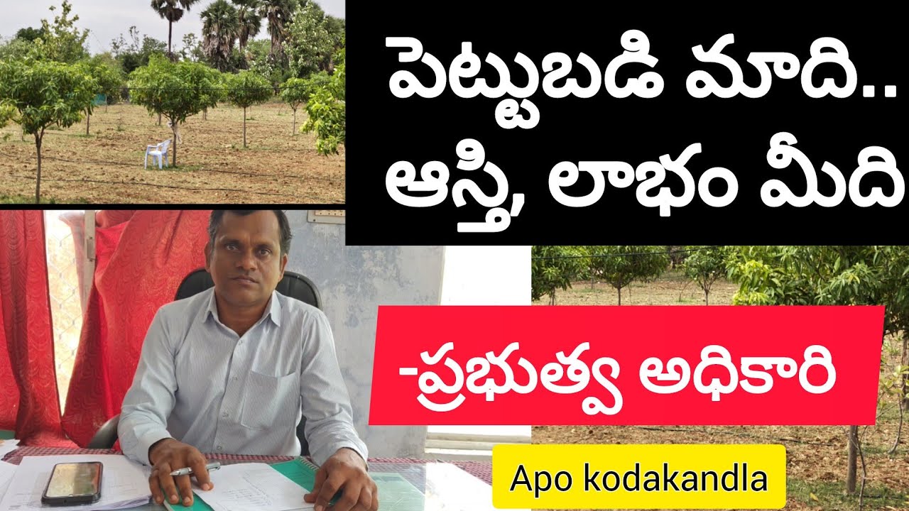 Government Scheme_Investment is ours, property profit is yours||MGNREGS#GOVT SCHEME #horticulture...