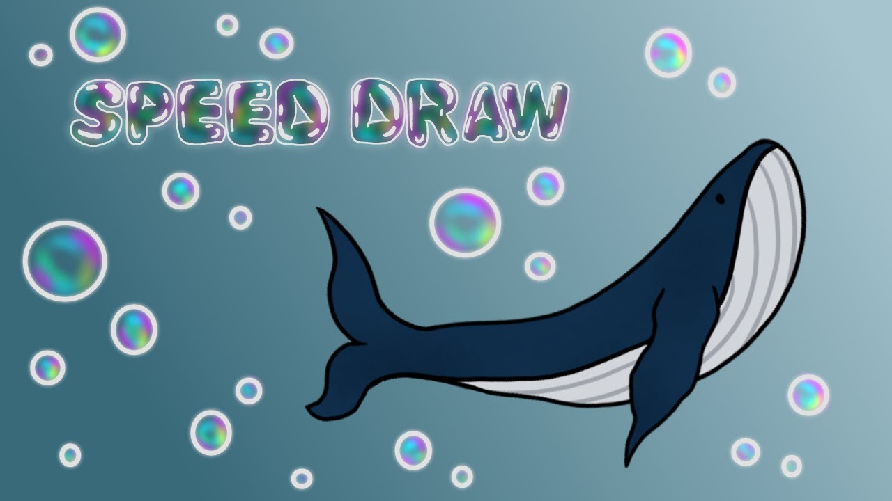 Whale Speed Paint 