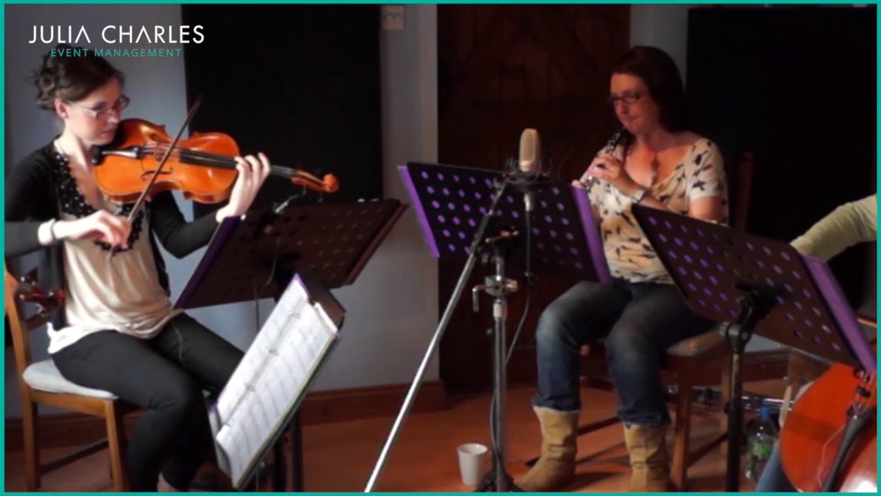 Classical ensemble troupe &ndash; String Quartet - Midlands