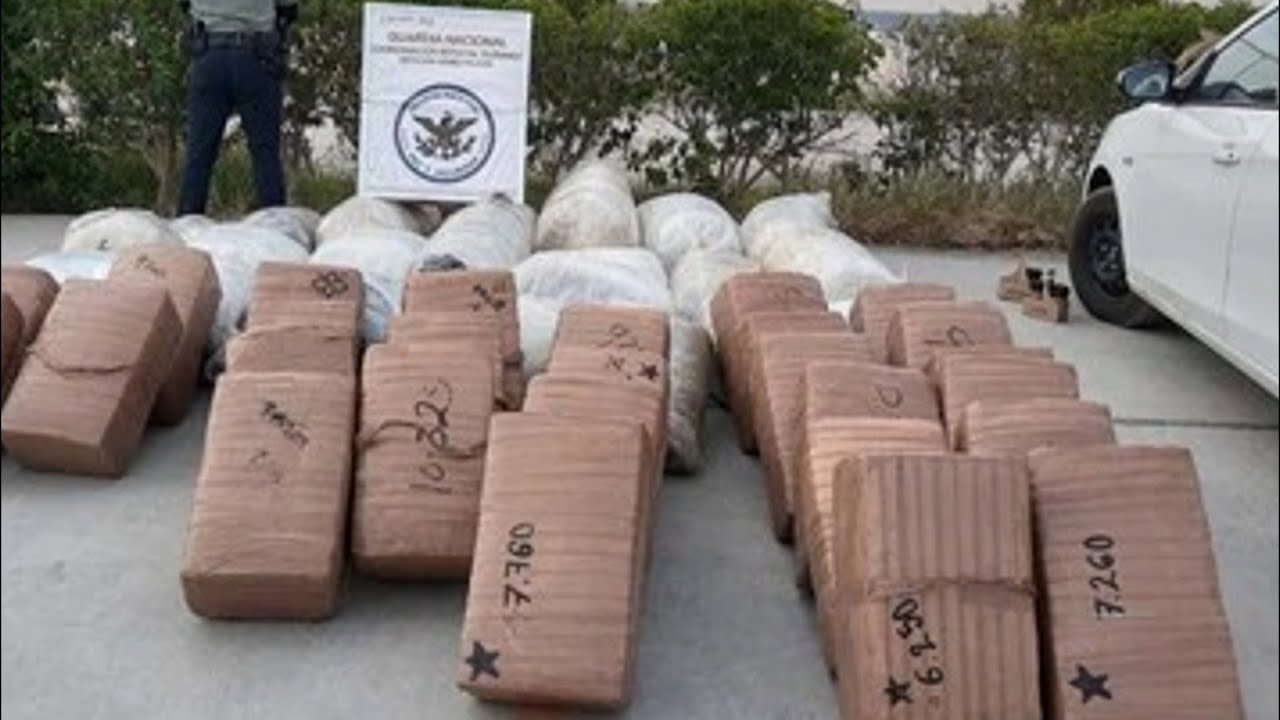 La Guardia Nacional detiene a dos y asegura media tonelada de mariguana en Durango