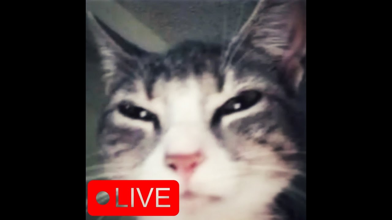 Live ดบดล : ตำนาน