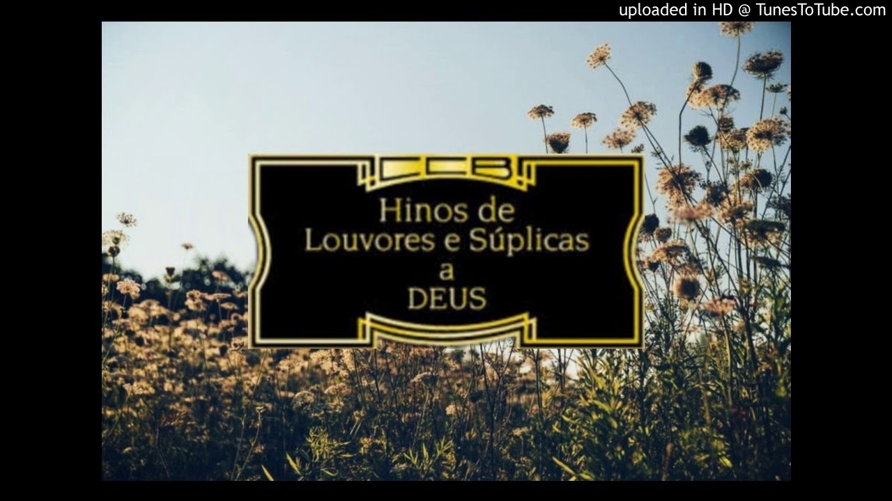 CCB-ADILSON DO JUNCO 02