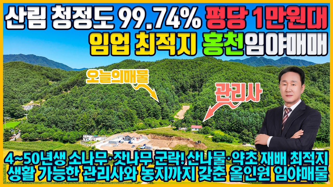 [매물번호 668]  강원도 홍천 임야매매 남향 39,503㎡ (11,950평)  관리사·개간지 농지까지 갖춘 청정 산림 토지매물 1억7,800만원