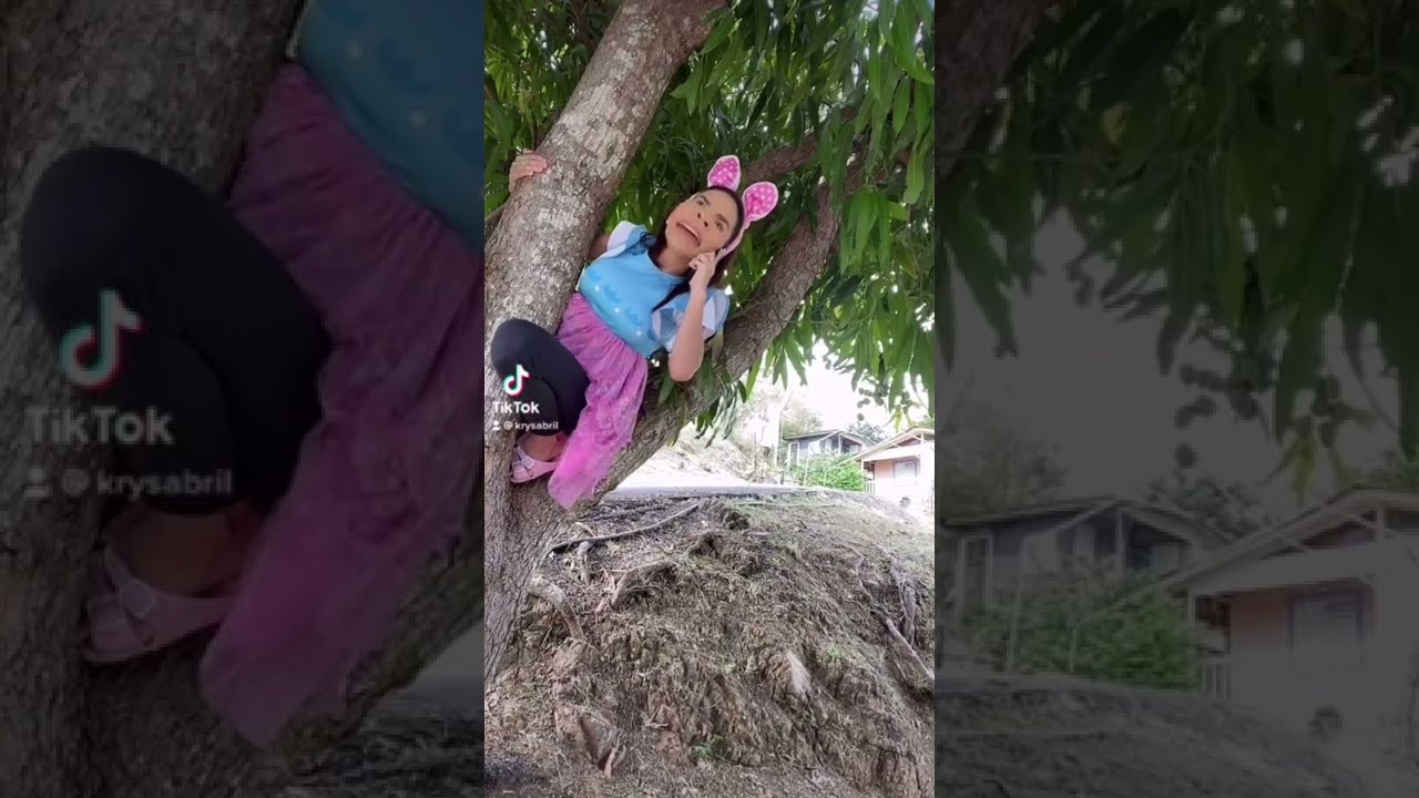 СИСИ узнаёт, что у Йейито есть БРАТ😱😱