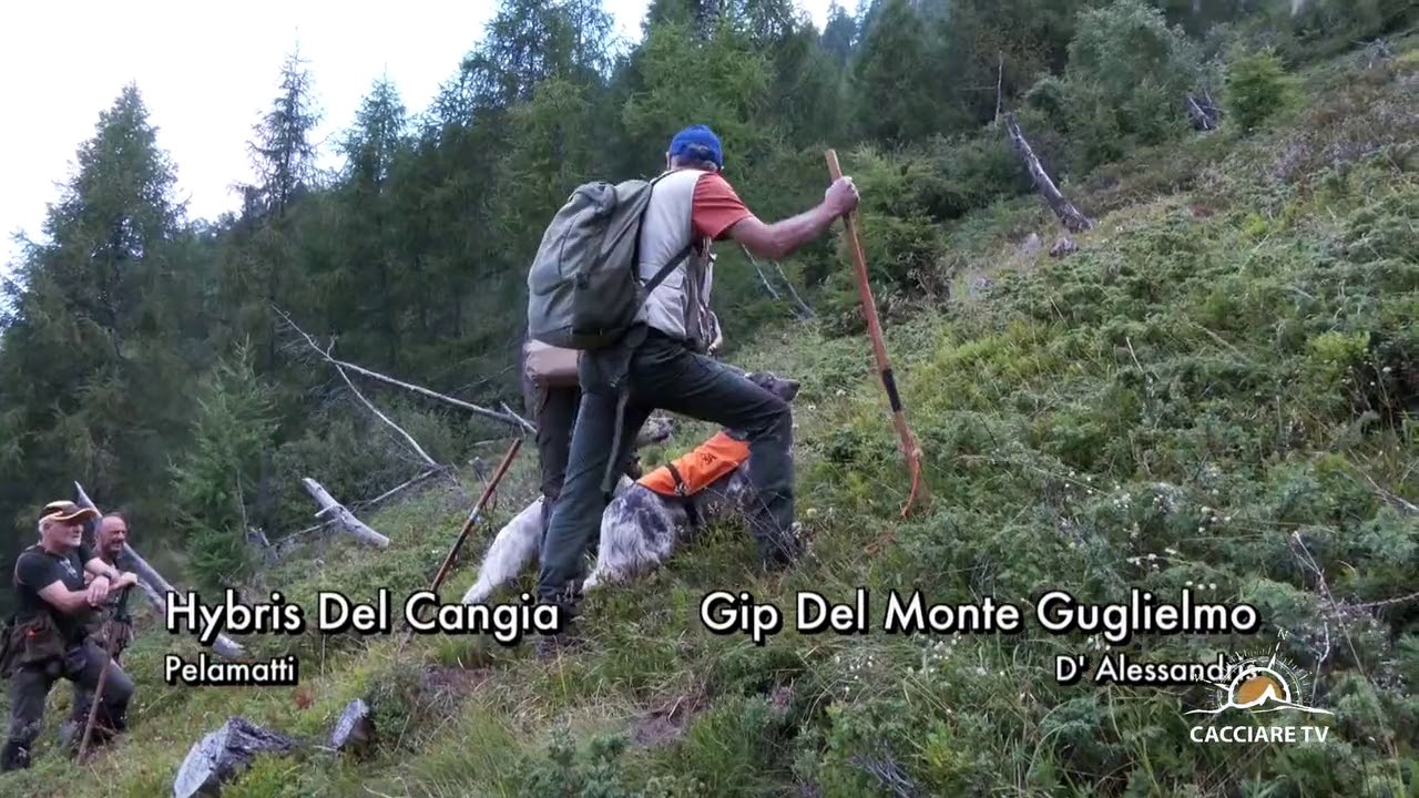 Gara Cinofila Saladini Pilastri 2020