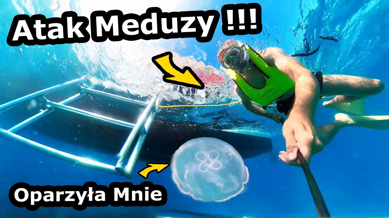 Rafa Koralowa na Florydzie !!! - Jest w Pierwszej Dziesiątce na Świecie !!! - Jak Wygląda? (886)