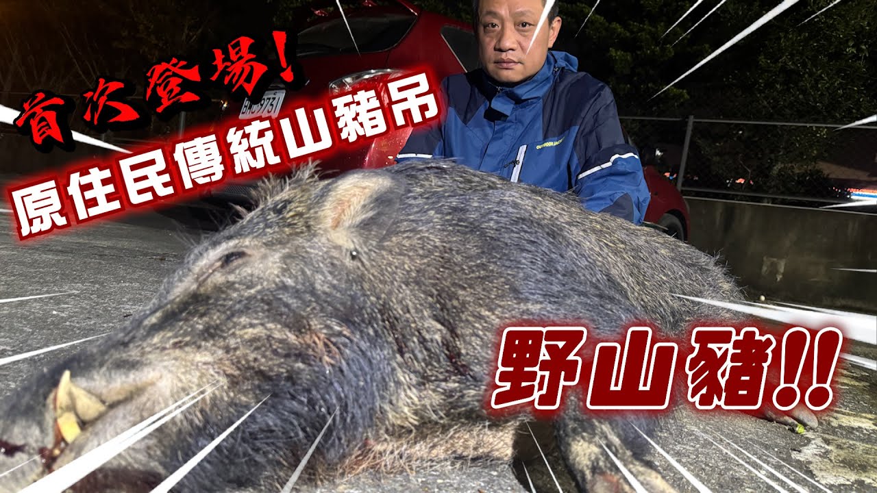 狩獵系列｜陷阱抓山豬實錄/滷山豬肉超Q超好吃/原住民狩獵文化。