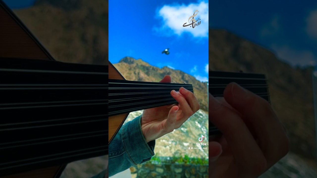 Electric oud from Zeryab🎶💚⛰️