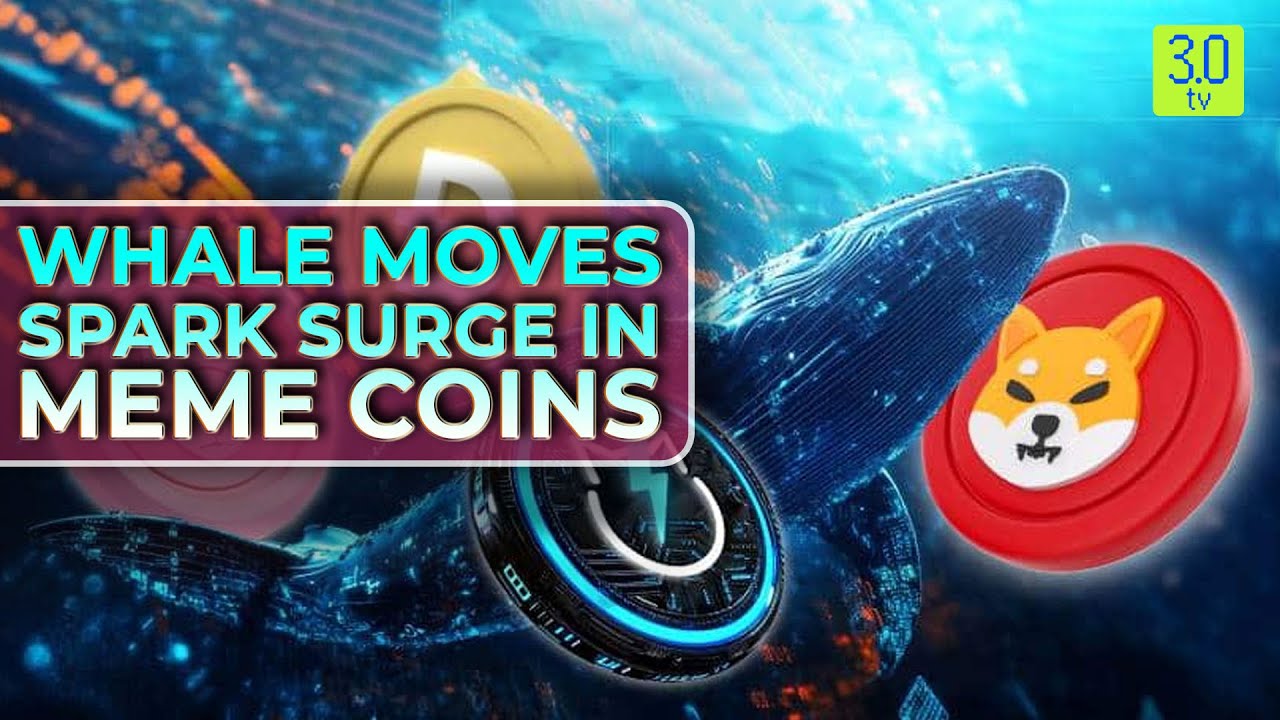 Whale Moves Spark Surge in Meme Coins | Web3 | 3.0 TV