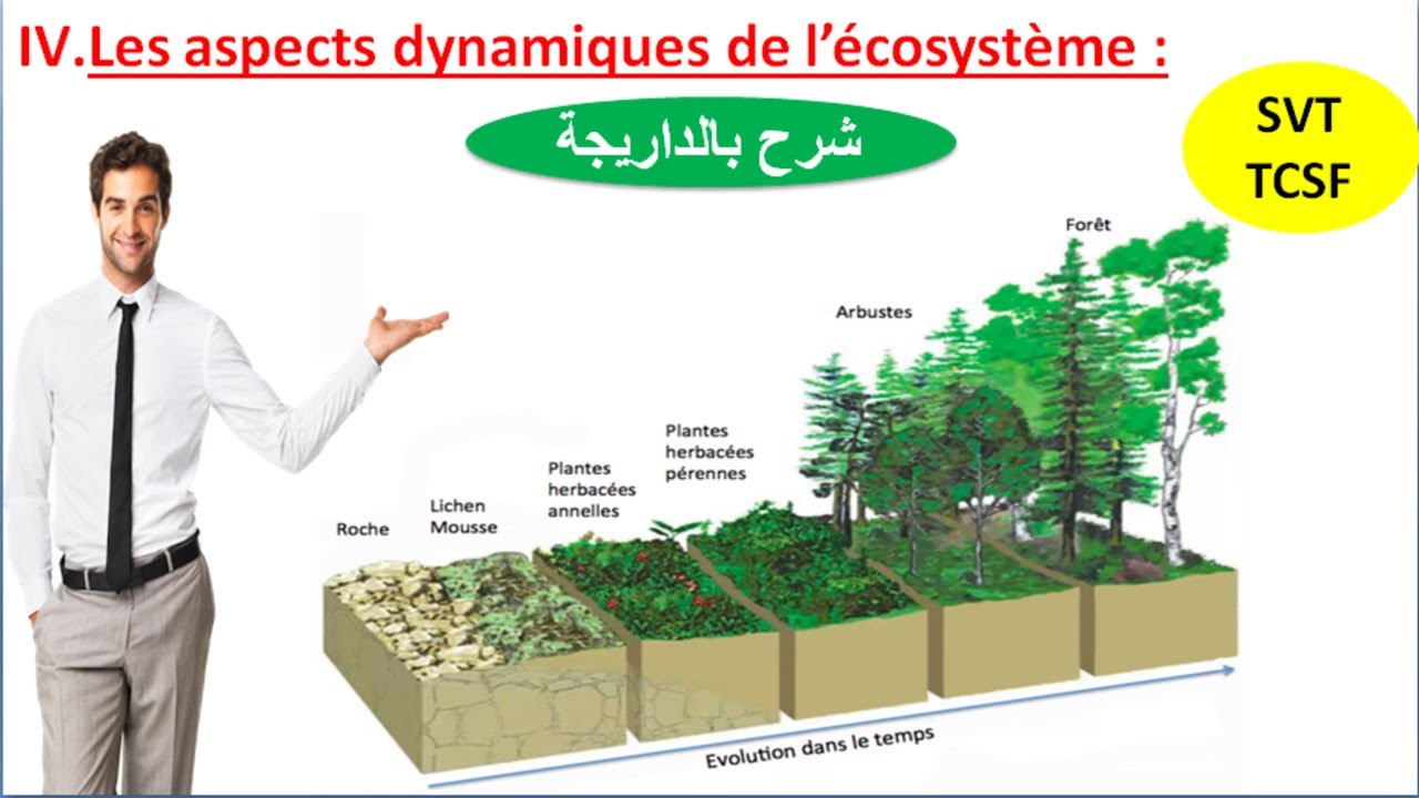 L'aspect dynamique de l'écosystème (شرح بالداريجة) -4-