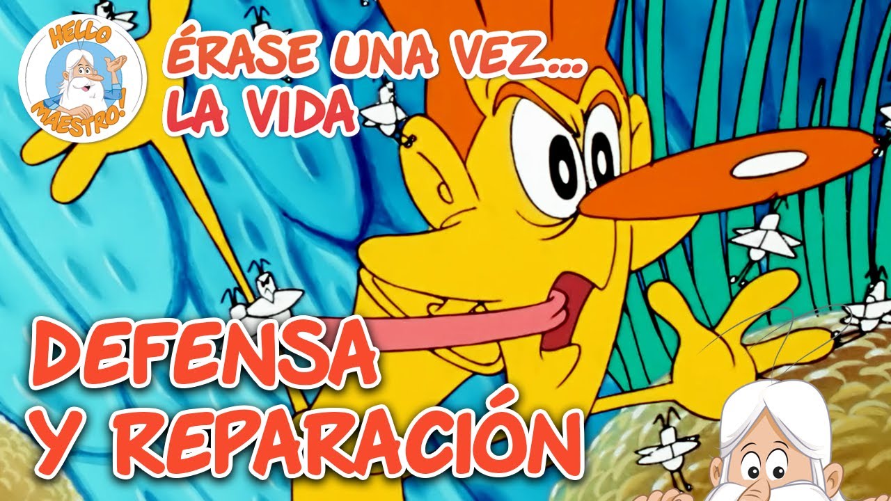 Defensa y reparación | Recopilación de Episodios | Erase Una Vez... La Vida