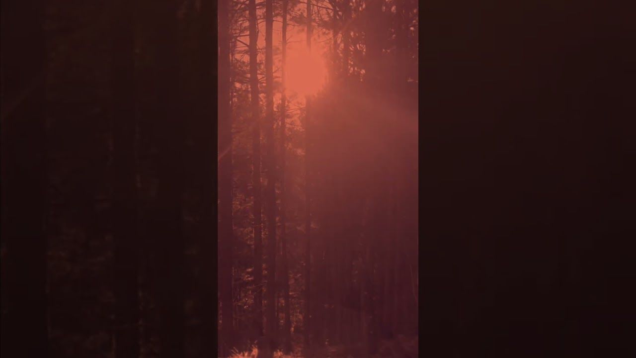 Earthtones - Dreamers' Day (Official Lyric Visualizer)
