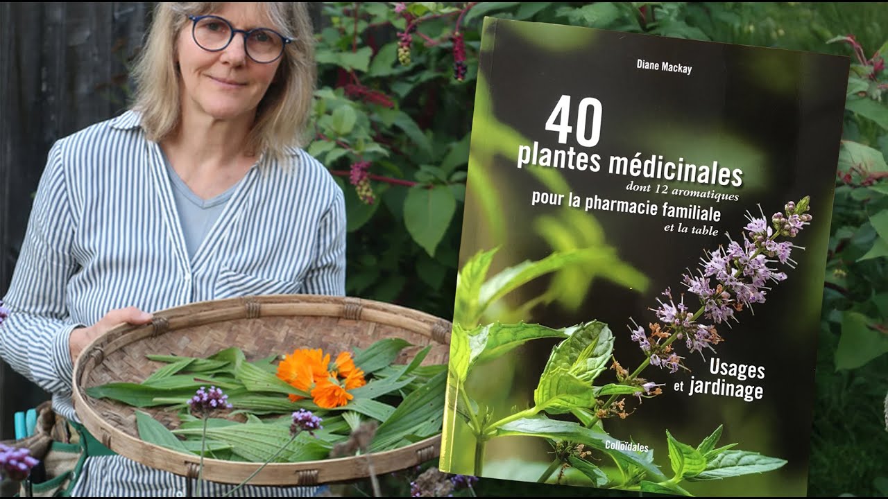 Quelles plantes médicinales cultiver chez soi ? Les conseils de Diane Mackay