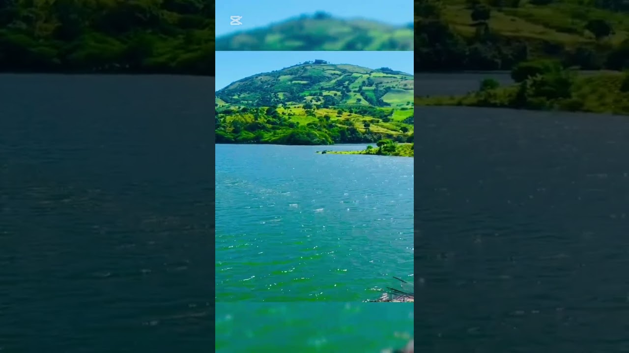 No sabía nada de este campo de República Dominicana 