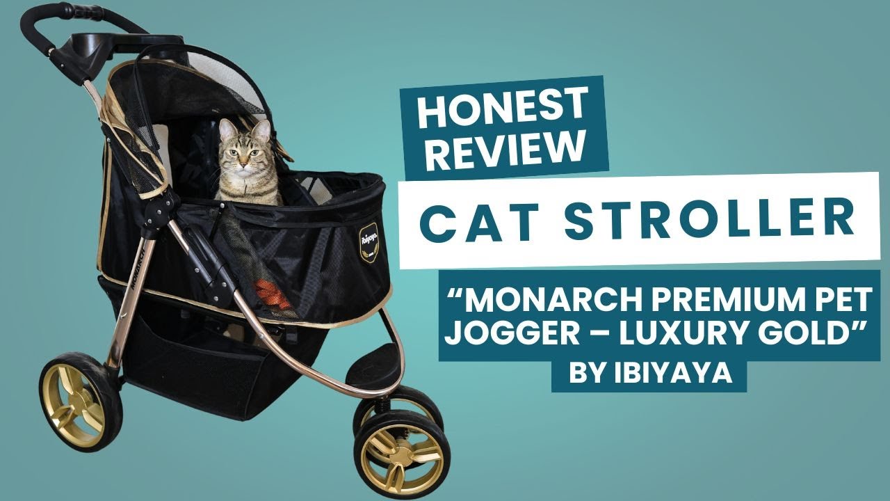 Стоит ли покупать коляску для кошек Monarch Premium Pet Jogger – Luxury Gold от Ibiyaya? Честный ...