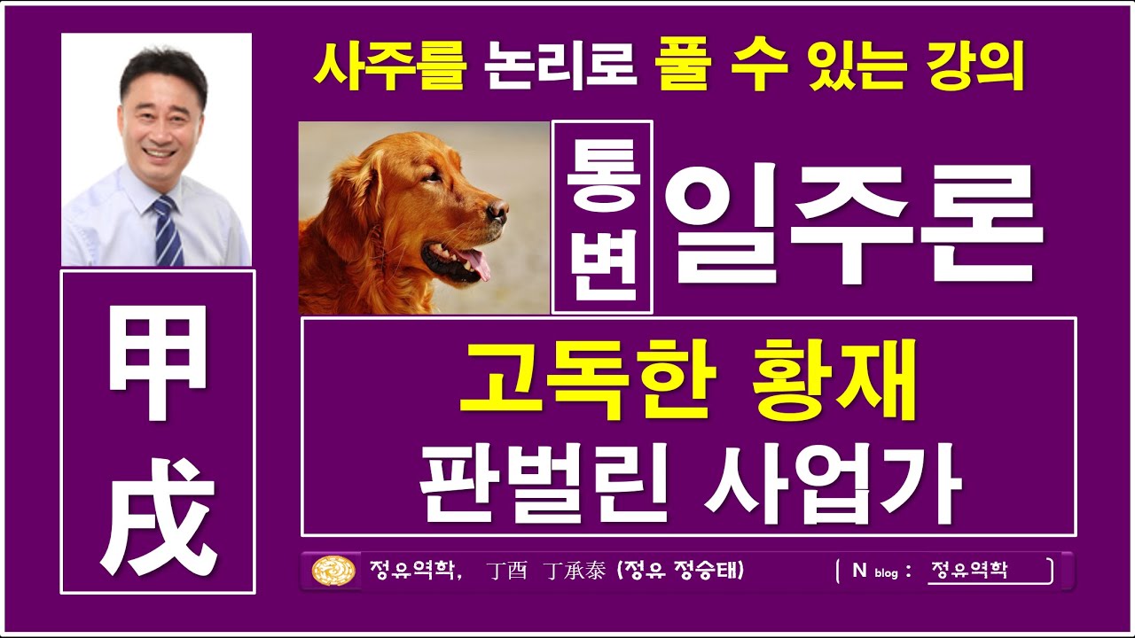 고독한 황재, 판벌린 사업가, 갑술일주, 일주론, 60갑자일주론, 정유역학강의, 명리기초, 사주심리학, :  갑술일주  :  정유역학강의.