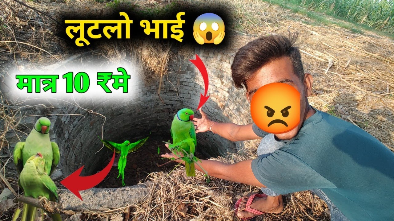लुट लो भाई लोग 🦜 || मात्र 10 ₹मे ||  मौका हाथ से मत जाने दो 👍