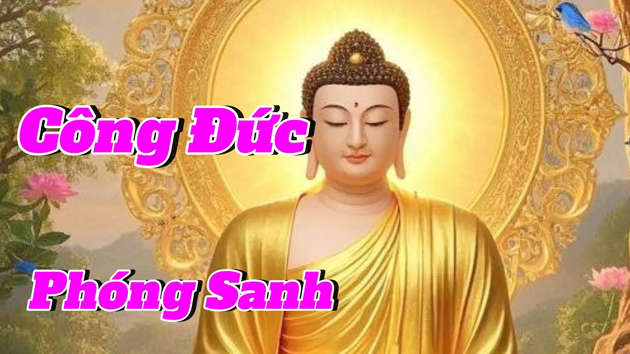 Công Đức phóng sanh vô lượng vô biên  Phước Đức sẽ đến với Phật tử