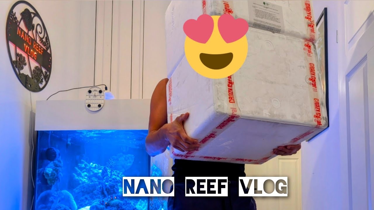 Nano Reef Vlog | Koralowe LOVE ❤️😅🙌