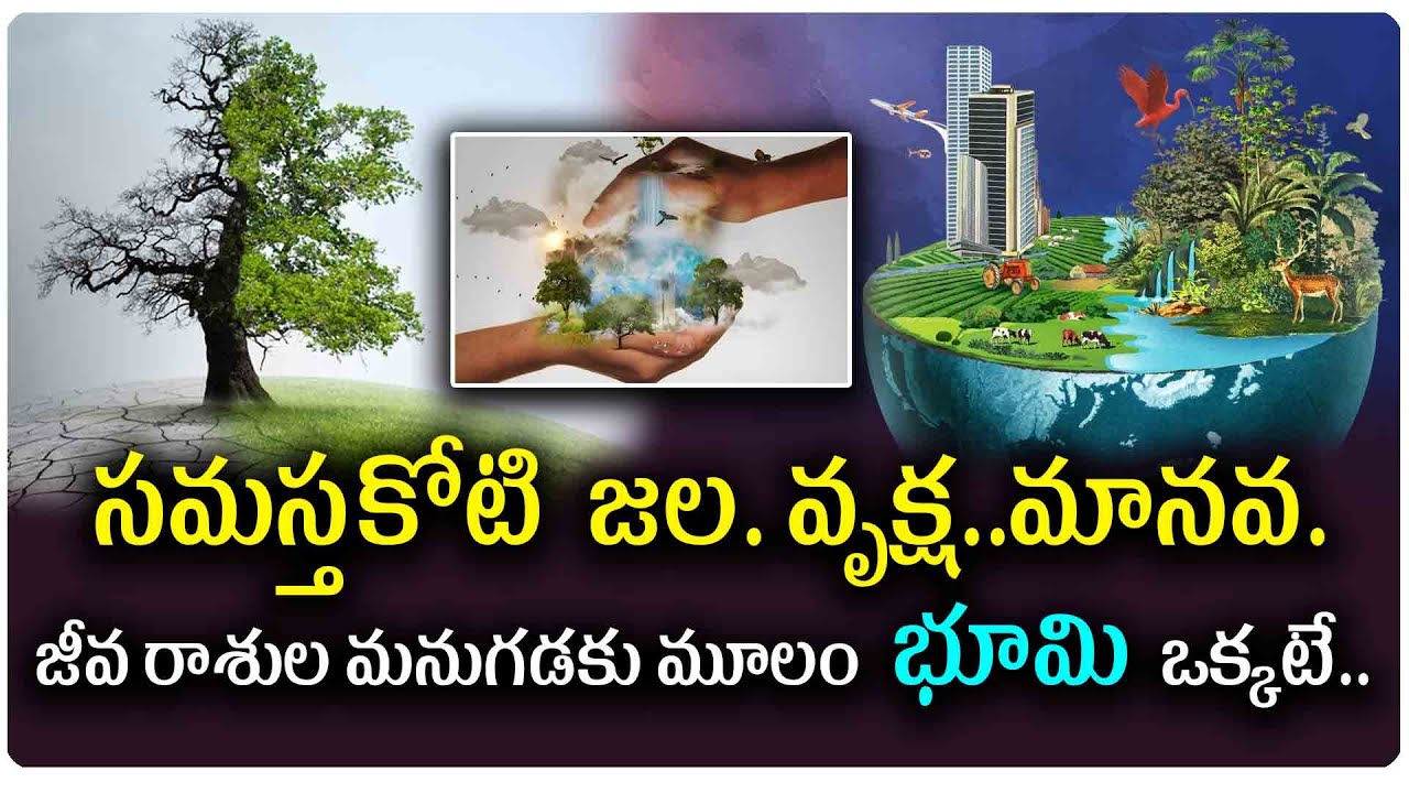 భూమే సకల జీవరాశులకు ఆధారం..భూమి లేకుంటే సమస్త జీవరాశులకు మనుగడే లేదు ఆ వివరాలు||Organic Agriculture