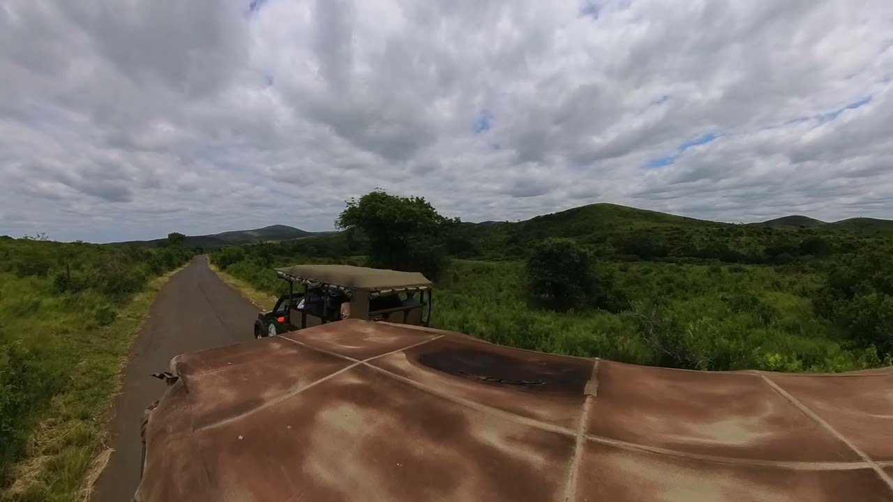 Safari Tour in Hluhluwe Imfolozi Game Reserve Part 2
