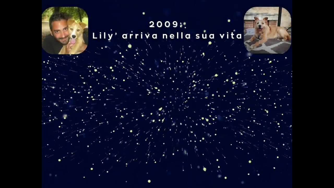 Un mondo straordinario 🐾😍🙏 GUARDA FINO ALLA FINE...SCOPRIRAI UNA SORPRESA!!!