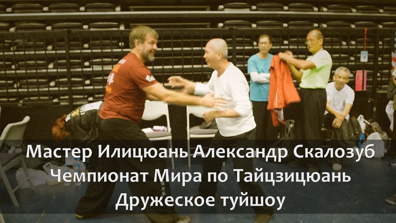 Master Alex Skalozub| Free pushhands | The 7th World Cup Taichichuan Championship