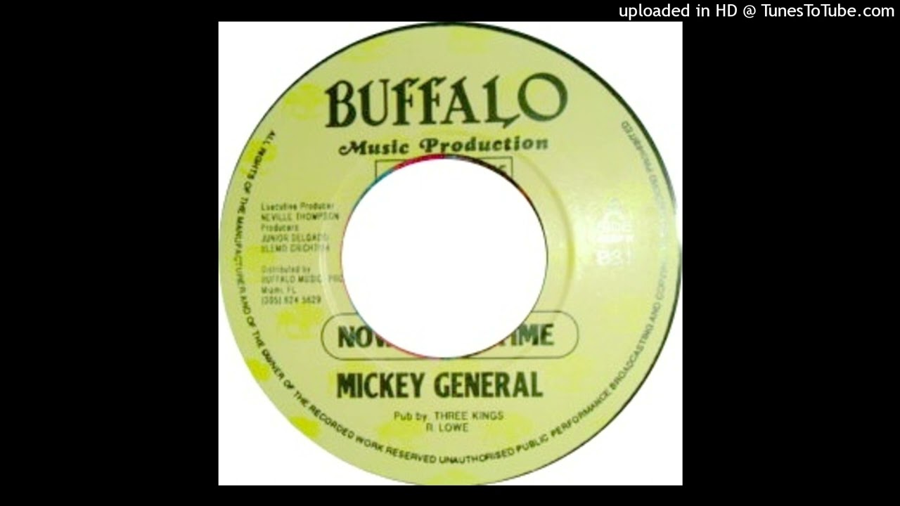 Mickey General - Now Is The Time