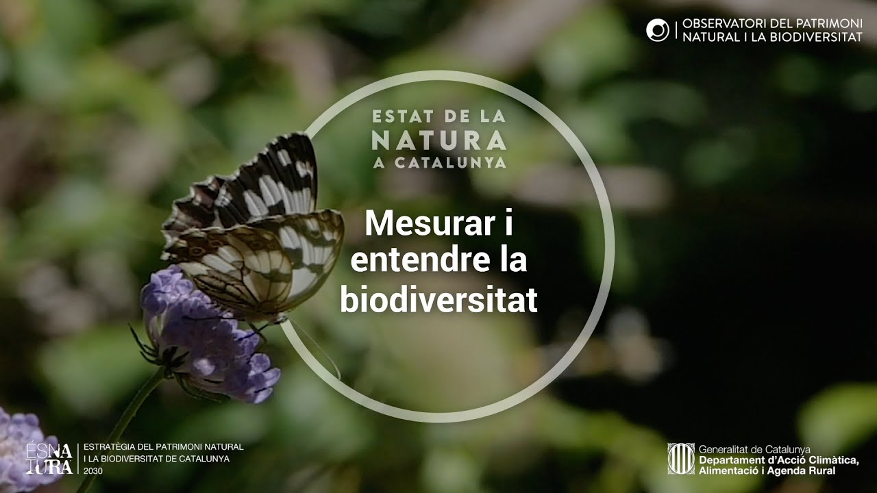 Estat Natura 2020: Mesurar i entendre la biodiversitat