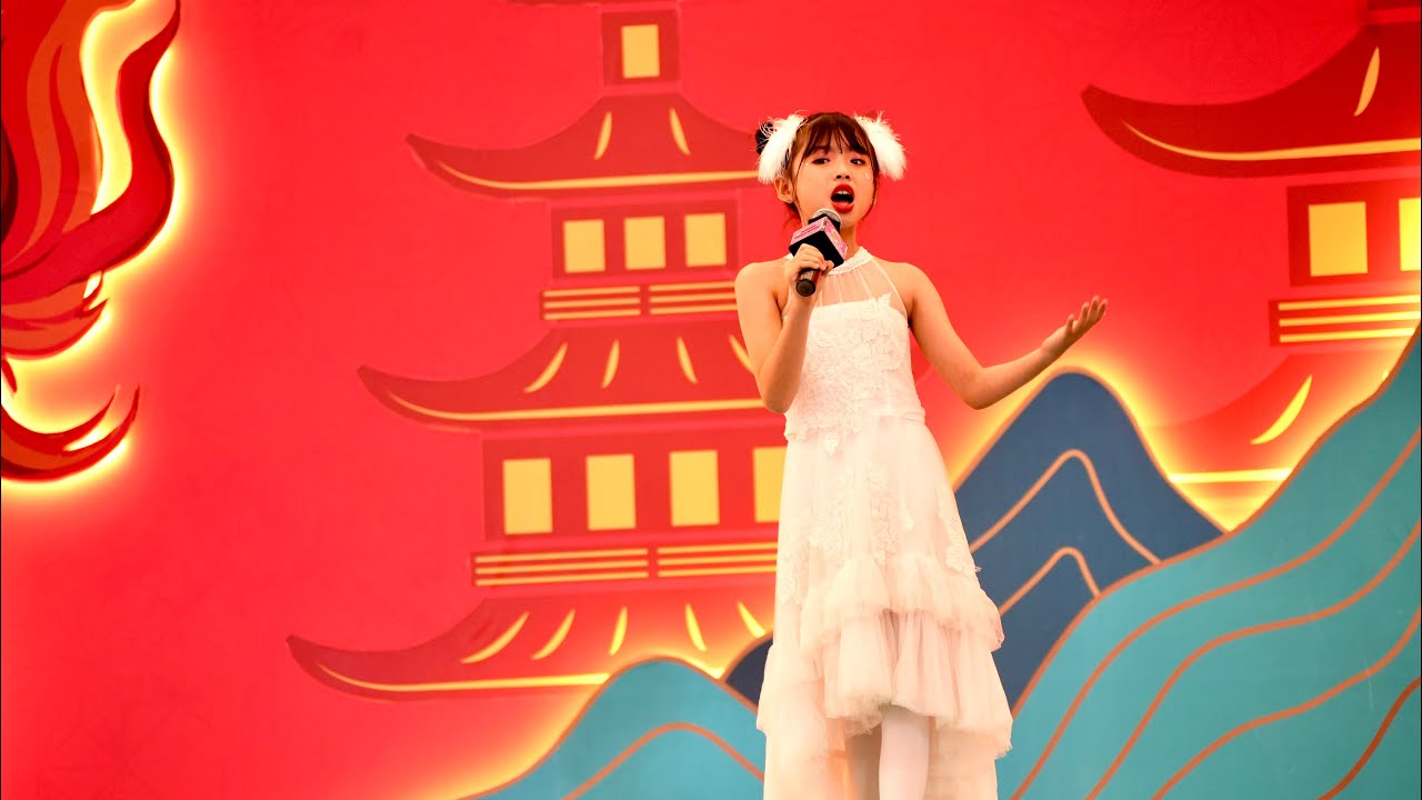 singing 我是一只小小鸟 by Fidelyn