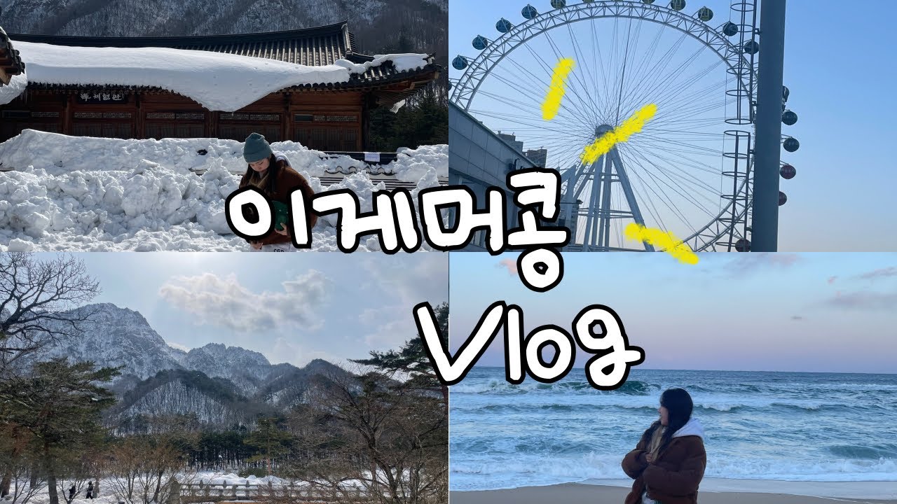 이게 머콩 삼일절 속초 나들이 / 속초 맛집 / 속초아이 / 문어삼합 / 설악산 케이블카 / 속초 시장 / 중앙시장