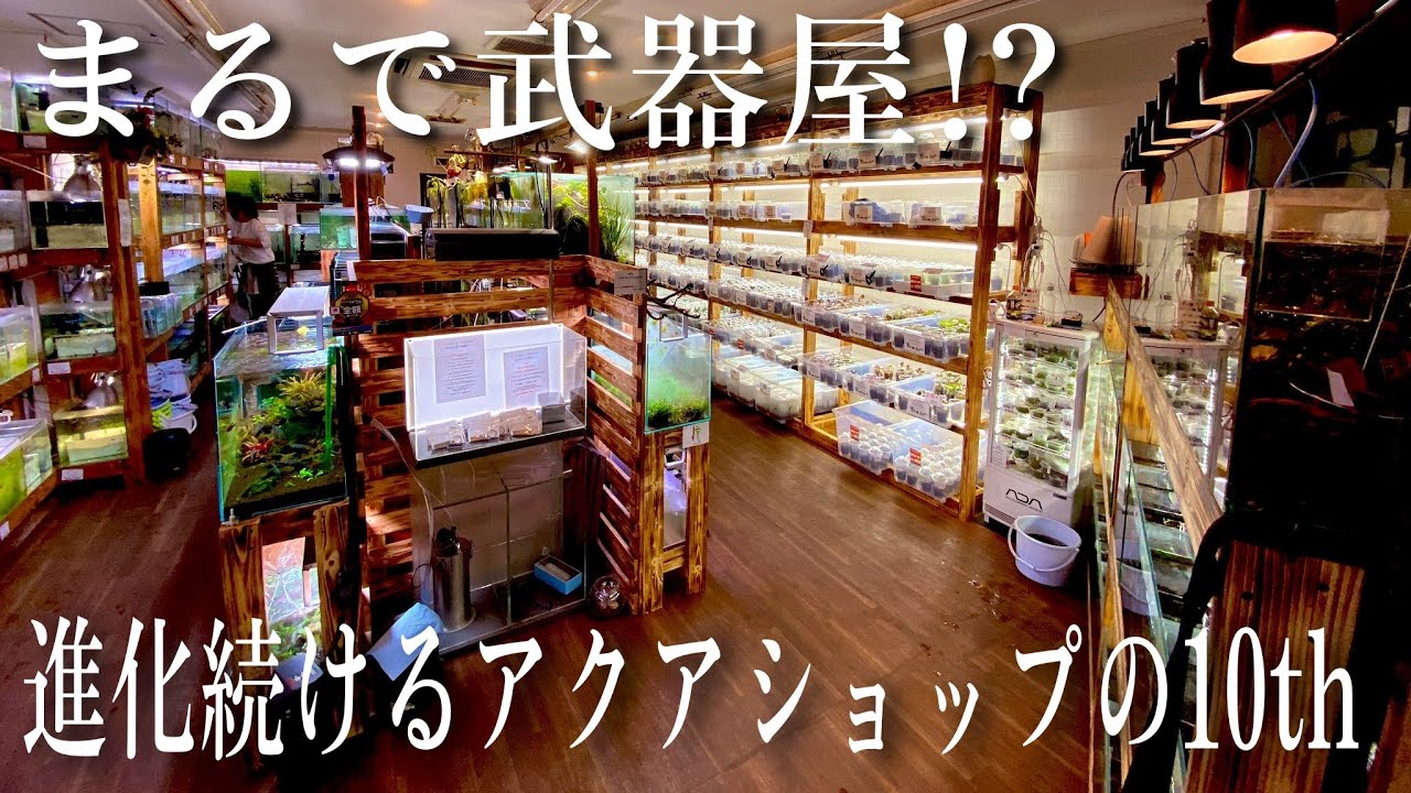 まるで武器屋⁉進化続けるアクアショップ‼　『AQUA Revelation J.B. (旧白猫)』　aquarium　アクアリウム　レイアウト水槽