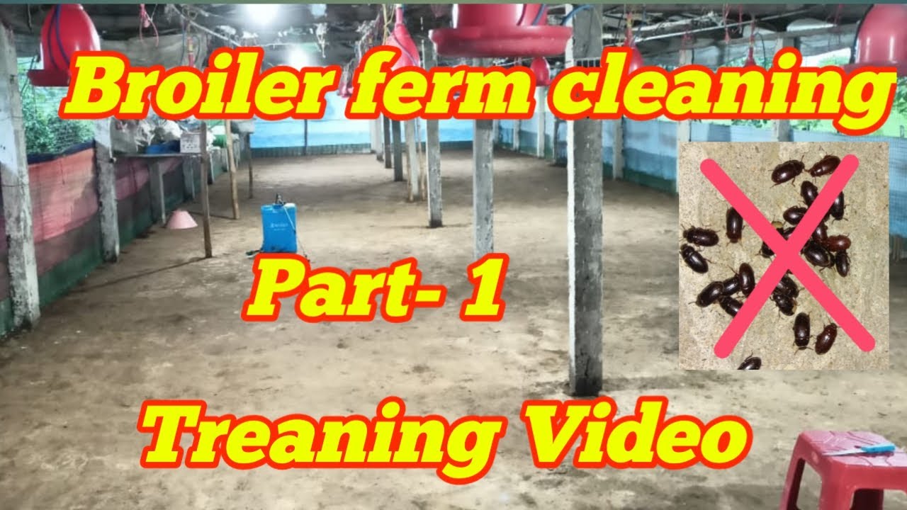 Broiler ferm cleaning Proses ,Treaning video Pert 1