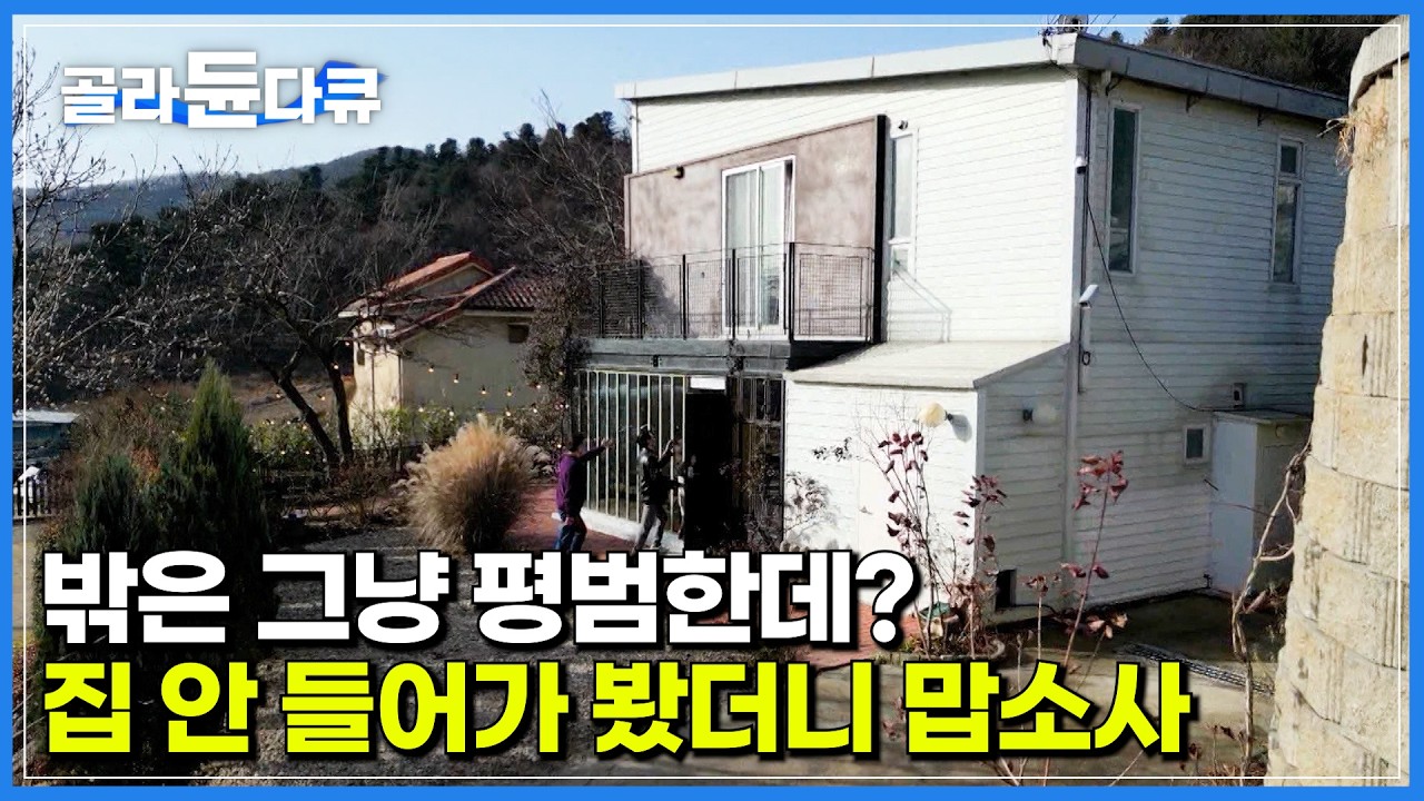 예술가의 집이라더니 생각보다 평범한데? 집  안으로 들어가 보니 그래 이거다 싶었다｜평범한 재료들을 활용하는 아이디어가 남다른 예술가 부부의 주택｜건축탐구 집｜#골라듄다큐