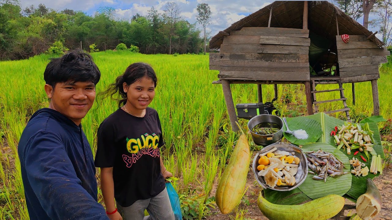 Today, I picked mushrooms to cook at the farm hut. Ep207