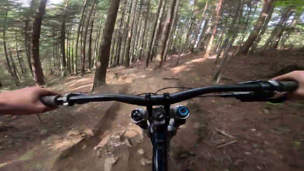 Kasina Bike Park -Dzika 2025