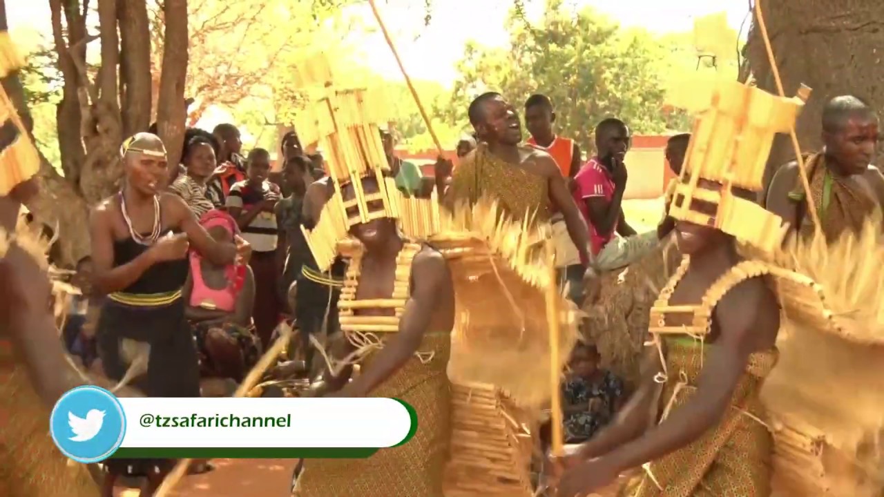 #TANZANIASAFARICHANNEL UTAMADUNI WA NGOMA ZA WAGOGO /  WAGOGO TRADITIONAL DANCE