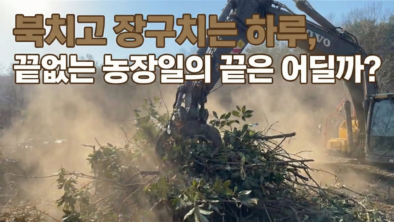 환장하는 전원생활(고소톱 가지치기, 부산물 정리, 일시도로 개설 - 이것저것 다해야 하는 농장일..)