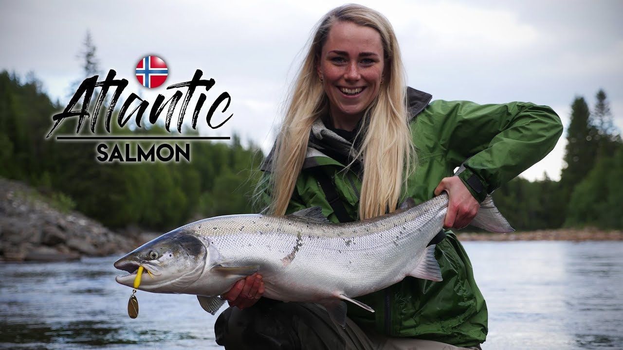 TO LAKS PÅ TO KAST - Gaula River | Salmon Fishing