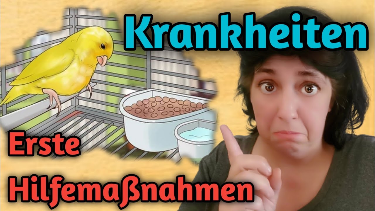 Erste HILFE bei Krankheiten