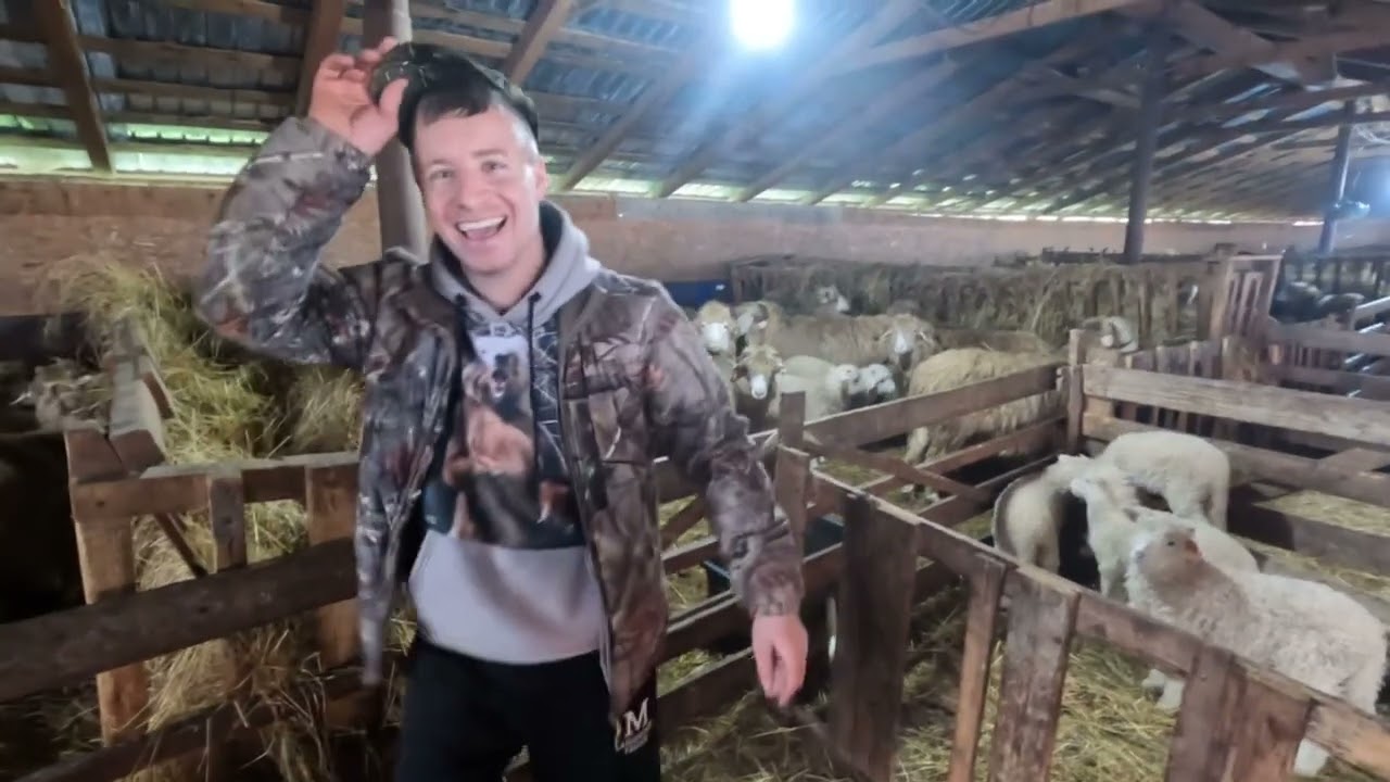 Oile Băle Pe Saivan a DL Casian Onea -Din Seleus -T&acirc;nărul ce va Deveni Legenda -Ambiția și Dragostea